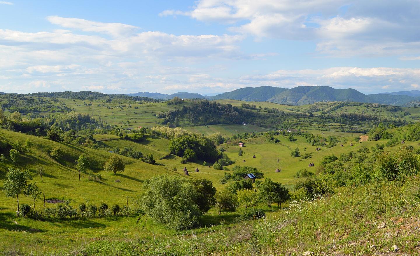 Dealurile Maramureșului, lângă Văleni, Călinești